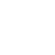 tooth